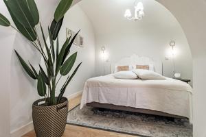 a bedroom with a bed and a potted plant at Templo Boutique Hotel in Évora
