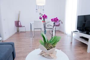 a living room with a table with a potted plant on it at Apartamento Gaudí-Sant Pau in Barcelona