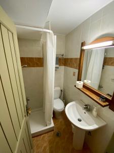 ein Badezimmer mit Toilette, Waschbecken und Spiegel in der Unterkunft Σκίουρος in Neráïda + 46 Fotos