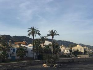 een groep palmbomen en huizen met bergen op de achtergrond bij Casa frente al mar en Villaricos in Villaricos