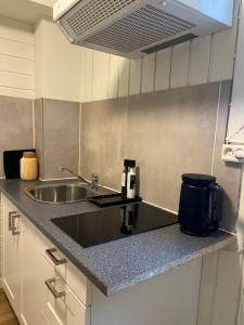 eine Küche mit einer Spüle und einer Arbeitsplatte in der Unterkunft Gamle Oslo Apartments - Enebakkveien in Oslo