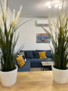 帕勒雍提費基翁的住宿－Adams Villa，客厅配有蓝色沙发和两株盆栽植物