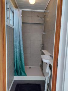 a small bathroom with a shower and a sink at Linsell stuga in Linsell
