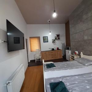 - une chambre avec 2 lits et un bureau dans l'établissement Pannónia Rooms and Apartments, à Satu Mare