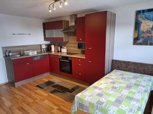 Η κουζίνα ή μικρή κουζίνα στο Holiday Home Moosen - NKI210 by Interhome