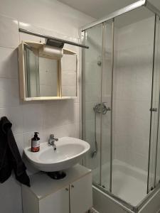 a bathroom with a sink and a shower at Fair apartment 2 in Kelsterbach