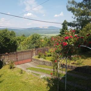 un jardín con una valla y rosas rojas en Panoráma Vendégház Dunabogdány, en Dunabogdány