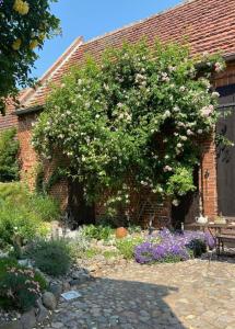 a large tree in front of a brick building with flowers at Ferienwohnung ,,Zur Alten Mühle'' im Storchendorf Rühstädt in Rühstädt