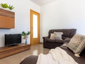 a living room with a couch and a television at Holiday Home Gaviota 4 by Interhome in Riumar +20 photos