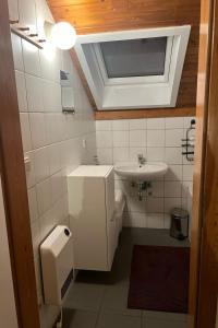 ein kleines Bad mit einem Waschbecken und einem WC in der Unterkunft Holiday Home Au bord du Lac-1 by Interhome in Bütgenbach