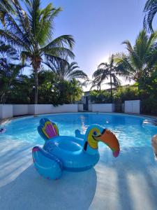 - une piscine avec un canard gonflable bleu dans l'eau dans l'établissement Eskal Péi, à L'Étang-Salé