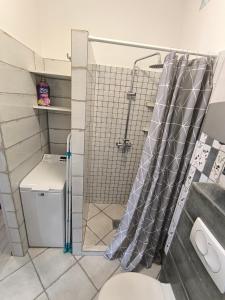 a shower curtain in a bathroom with a toilet at City Heaven Apartment in Szeged