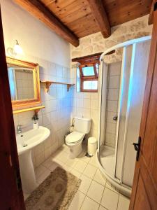 e bagno con servizi igienici, lavandino e doccia. di Villa Belvedere - Best panoramic sea view apts a Vasilikós