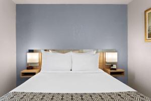 Ein Bett oder Betten in einem Zimmer der Unterkunft Microtel Inn and Suites - Zephyrhills