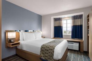 um quarto de hotel com uma cama e uma janela em Microtel Inn and Suites - Zephyrhills em Zephyrhills