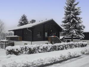 een huis bedekt met sneeuw met een met sneeuw bedekte heg bij Apartment Am Hohen Bogen-35 by Interhome in Arrach