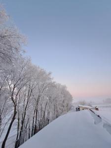 a road covered in snow next to trees at Magic Garden - Pool, Events, Free Parking in Tărtăşeşti