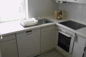 カロリーネンジールにあるFerienhaus Tovarのシンクとコンロのある小さなキッチン