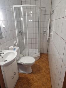 uma casa de banho com um WC, um chuveiro e um lavatório. em Willa AGAT em Ciechocinek