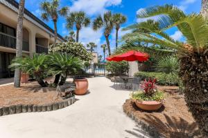 a walkway with palm trees and chairs and an umbrella at Hampton Inn Fort Walton Beach in Fort Walton Beach
