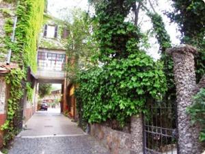 un callejón con hiedra creciendo en un lado de un edificio en Hotel La Locanda Del Borgo, en Casal Monastero