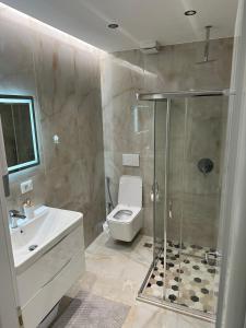 uma casa de banho com um chuveiro, um WC e um lavatório. em Luxury Apartment Tirana em Tirana