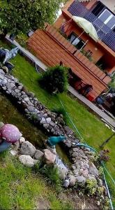 un giardino con laghetto e un uccello di Sweet dreams a Zaječar