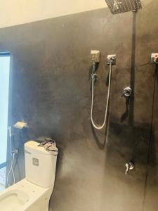 ein Bad mit einer Dusche und einem WC in der Unterkunft Shehan Villa in Beruwala