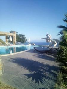 a shadow of a palm tree next to a swimming pool at Villa Real Paradise Kalamos Evia in Trikovilón