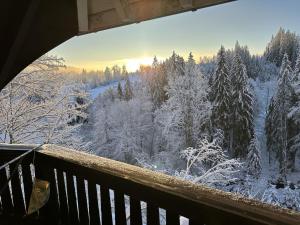 een balkon met uitzicht op een met sneeuw bedekt bos bij Holiday Home Kesslerberg by Interhome in Hinterzarten