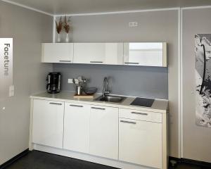 eine Küche mit weißen Schränken und einem Waschbecken in der Unterkunft Open-Water-Resort in Geierswalde