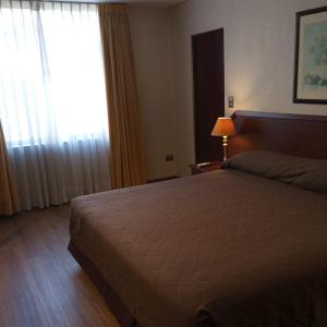 Postel nebo postele na pokoji v ubytování Hotel Alcala del Rio