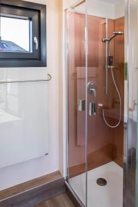 um chuveiro com uma porta de vidro na casa de banho em HofGut Bockelkathen Tiny Haus 10 em Lüdersburg