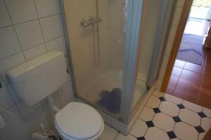 un bagno con wc e doccia di Ferienwohnungen Höhn ad Altfunnixsiel