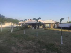 a group of palm trees in front of a house at Chalé Canastra Zoo in Capitólio