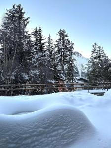 a snow covered yard with trees and a fence at Wonderful cosy apartment in St. Moritz in St. Moritz +24 photos
