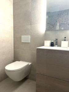 uma casa de banho com um WC e um lavatório em Wonderful cosy apartment in St. Moritz em St. Moritz
