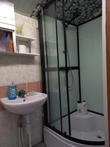 a bathroom with a shower and a sink at Ginto nakvynės namai in Vilnius