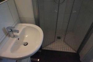 a bathroom with a sink and a shower at Ferienwohnung Johanne in Carolinensiel +2 photos