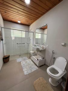 y baño con aseo, ducha y lavamanos. en Casa aconchegante próximo ao Capivari, en Campos do Jordão