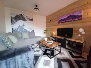 Una sala de estar con un sofá y un televisor. en LE ZÈDÈL - Duplex 100m2 vue montagne, au cœur de la Savoie, au pied des stations de ski, en Aigueblanche