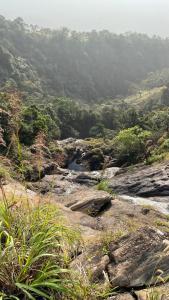 a view of a river with rocks and trees at Wild Jacket in Vagamon