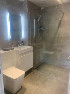 ein Bad mit einer Dusche, einem WC und einem Waschbecken in der Unterkunft Chillout!! Sussex Flint Cottage- HotTub - Goodwood in Eartham
