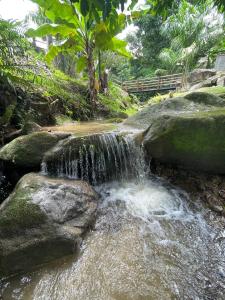 een kleine waterval op de rotsen in een bos bij Segredo da alma in Sana