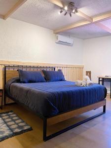 1 dormitorio con 1 cama grande en una habitación en La Petite France en San José de Maipo