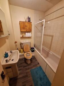 e bagno con servizi igienici, lavandino e doccia. di Spacious double bedroom in quiet house with garden view a Dublino