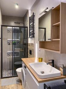 ein Bad mit einem Waschbecken, einem WC und einer Dusche in der Unterkunft 31_Vezuvio - DeerRest Apart in Jelenia Góra