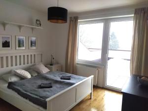 a bedroom with a large bed and a large window at Apratmán Julie – Bavorská Ruda in Bayerisch Eisenstein