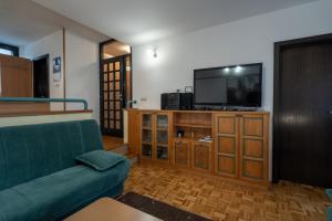 a living room with a couch and a flat screen tv at Apartment Maj, Kranjska Gora in Kranjska Gora