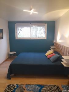 ein blaues Schlafzimmer mit einem Bett und einem Fenster in der Unterkunft Chez Anne et Aimé in Millau